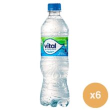 Vital Con Gas Pet 600cc Aguas, Entel, Vital