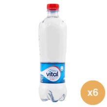 Vital Sin Gas Pet 600cc Aguas, Entel, Vital